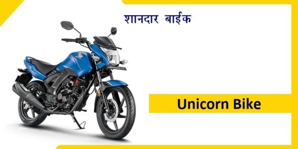 Unicorn Bike