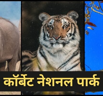 Jim Corbett National Park Kahan Hai