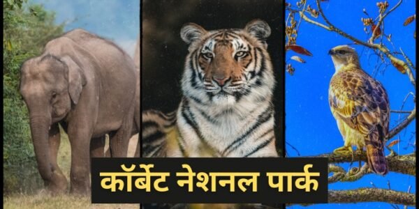 Jim Corbett National Park Kahan Hai